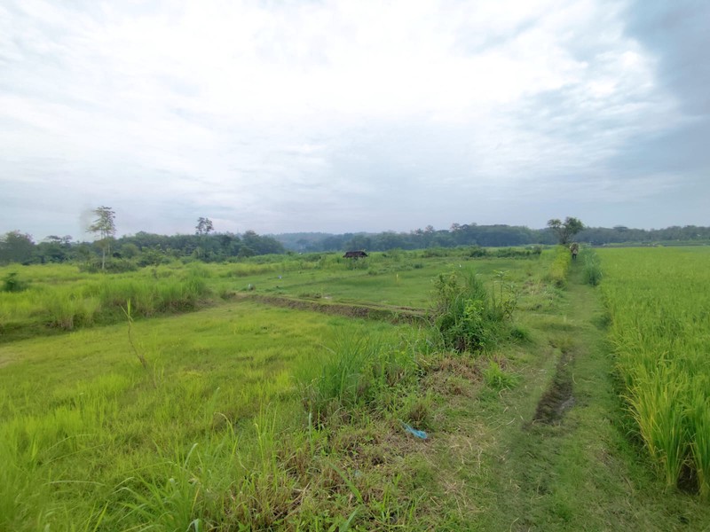 Lahan Super Luas 2,1 Hektar di Pinggir Jalan Nasional Investasi Strategis Dekat Polres & Pusat Kota Wates, Kedungsari, Pengasih, Kulon Progo