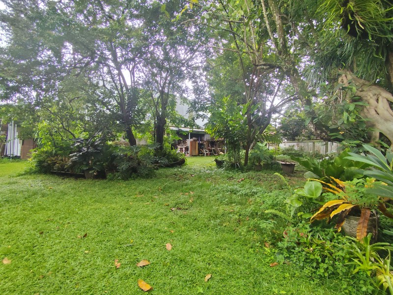 Aset  Tanah & Bangunan Klasik Luas Hanya Selangkah ke Tugu Jogja & Kawasan Bisnis Monginsidi, Tegalrejo, Yogyakarta