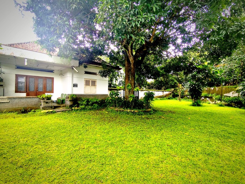 Aset  Tanah & Bangunan Klasik Luas Hanya Selangkah ke Tugu Jogja & Kawasan Bisnis Monginsidi, Tegalrejo, Yogyakarta