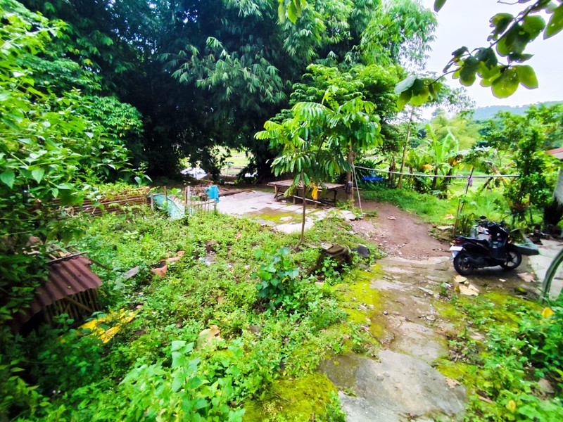 Kavling Siap Bangun Tanah Pekarangan Strategis di Kalasan Hanya Selangkah ke Jl. Raya Solo-Jogja, Tirtomartani, Kalasan, Sleman