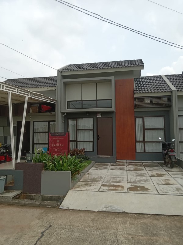 Sakura Kanzan Harvest City is Blooming!