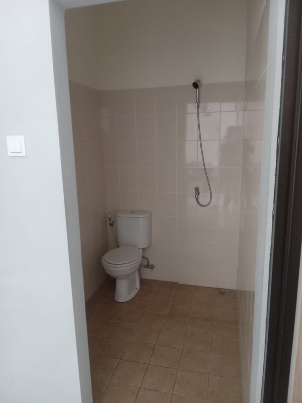 Sakura Kanzan Harvest City is Blooming!