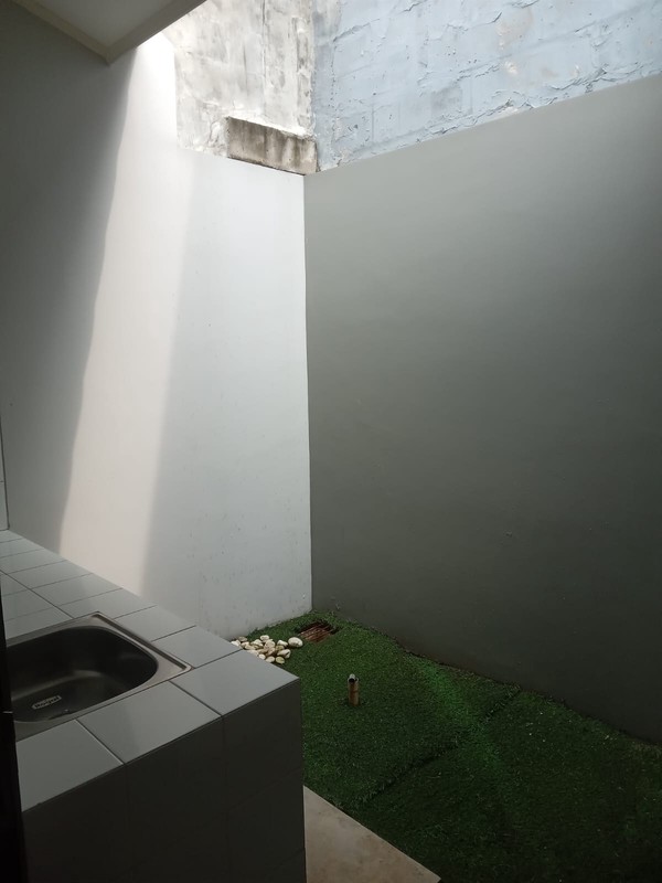 Sakura Kanzan Harvest City is Blooming!