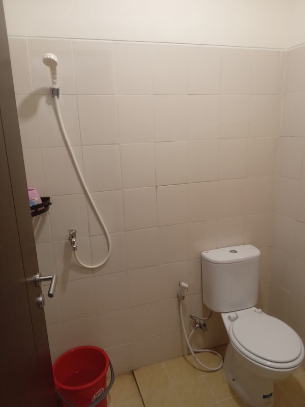 "New Sakura Indica: Your Zen Corner in Harvest City"