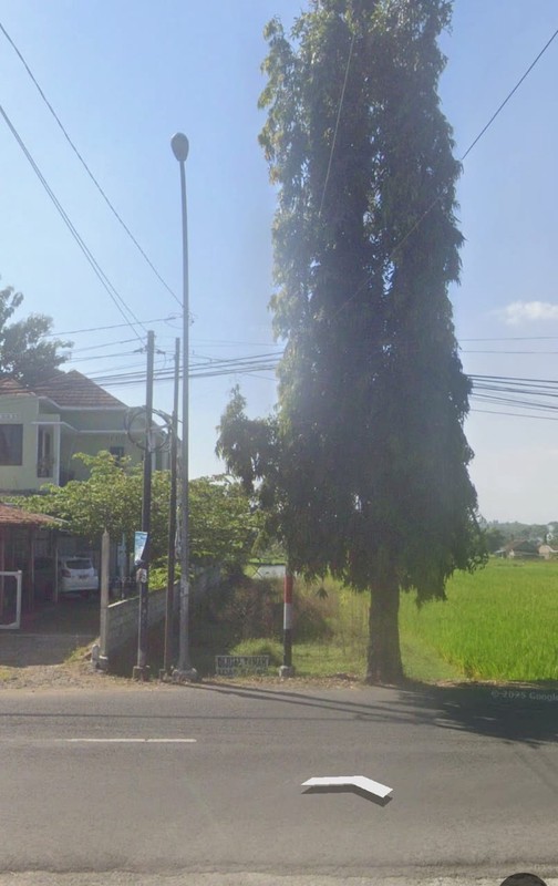 Dijual Tanah Sawah Strategis 500 Meter dari Kampus Mercu Buana Peluang Emas untuk Ruang Usaha & Kost, Argomulyo, Sedayu, Bantul