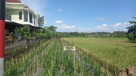 Dijual Tanah Sawah Strategis 500 Meter dari Kampus Mercu Buana Peluang Emas untuk Ruang Usaha & Kost, Argomulyo, Sedayu, Bantul