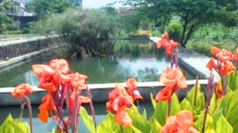 Dijual Villa 14 Kamar di Cimacan Cianjur