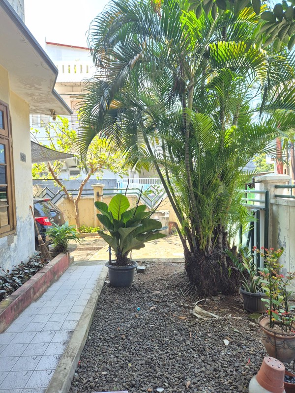 Dijual rumah 2 lantai terawat dan siap huni di Jl Kemuning 1, Pejaten Timur, Pasar Minggu Jakarta selatan