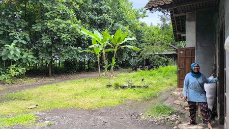 Dijual Tanah Pekarangan Luas 1.147 Meter di Sedayu Lokasi Strategis Dekat Kampus & Jalan Utama