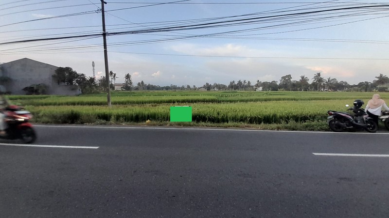Tanah Sawah Luas di  Tepi Jalan Raya Selomartani - Potensi Investasi