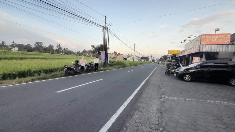 Tanah Sawah Luas di  Tepi Jalan Raya Selomartani - Potensi Investasi