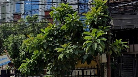 Ruko 3,5 Lt - TEBET TIMUR DALAM RAYA - Lokasi strategis