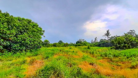 Tanah 1 Ha Mauk Sepatan Tangerang akses ke Daan Mogot Cengkareng 