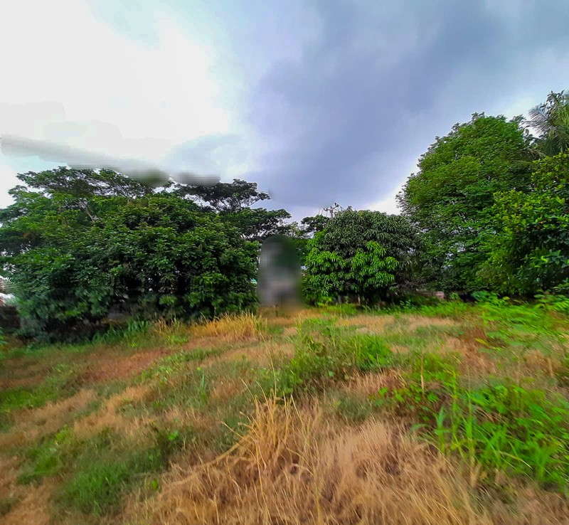 Tanah 1 Ha Mauk Sepatan Tangerang akses ke Daan Mogot Cengkareng 