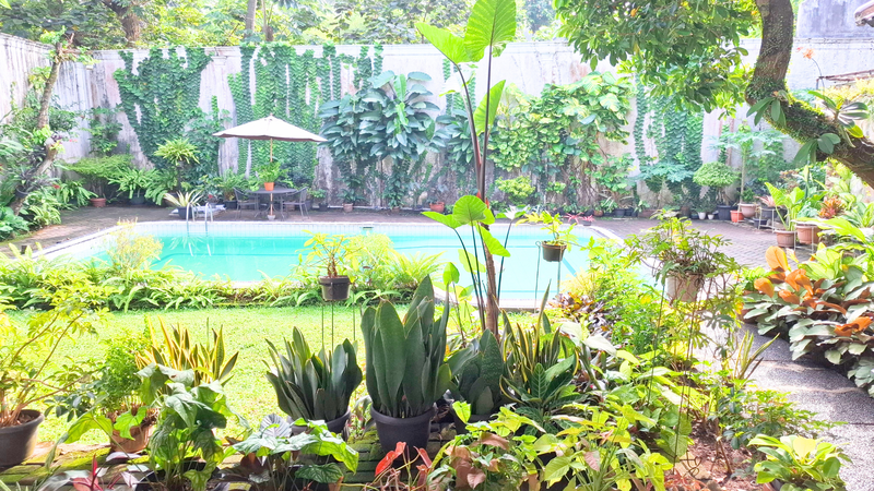 DIJUAL RUMAH MEWAH DENGAN TAMAN ASRI & KOLAM RENANG DI PEJATEN - JAKARTA SELATAN