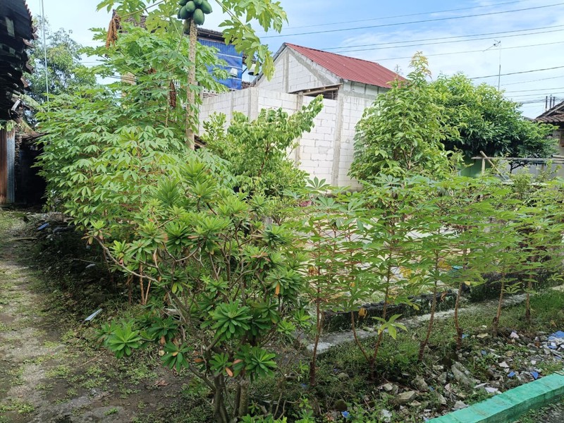 Ruko Strategis di Pusat Kota Wates Investasi Strategis di Jalur Utama Kulon Progo