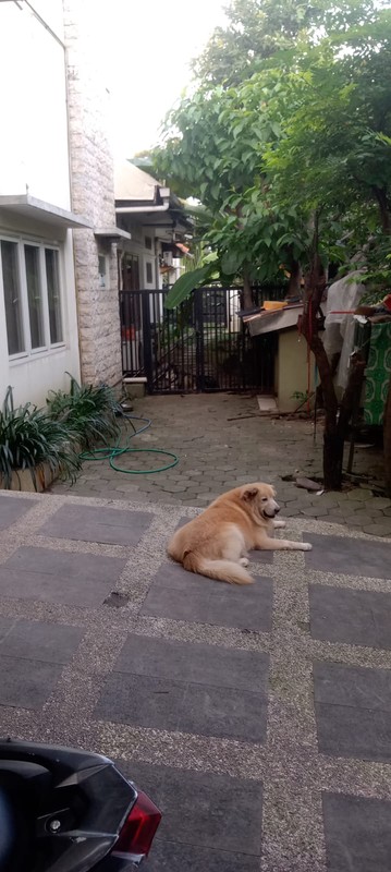 DI JUAL RUMAH SURABAYA TIMUR 2 LANTAI FULL FURNISH SIAP HUNI