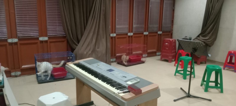 DI JUAL RUMAH SURABAYA TIMUR 2 LANTAI FULL FURNISH SIAP HUNI