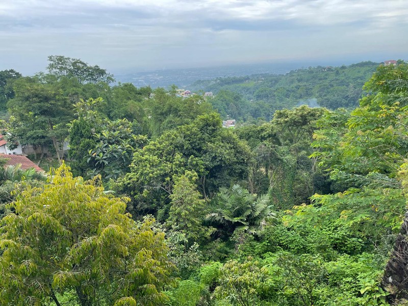 Dijual 4000 m2 Villa Trawas Mojokerto Jawa Timur Lokasi Bagus Best View