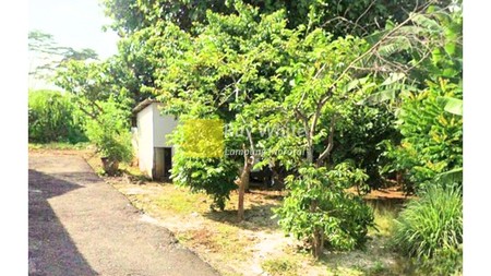 Dijual tanah dekat Unila