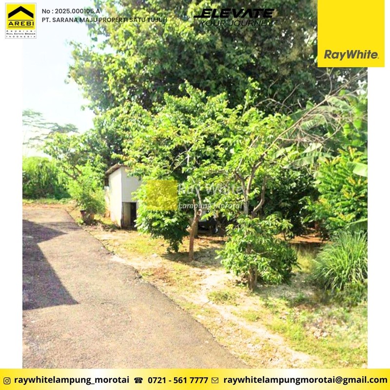 Dijual tanah dekat Unila