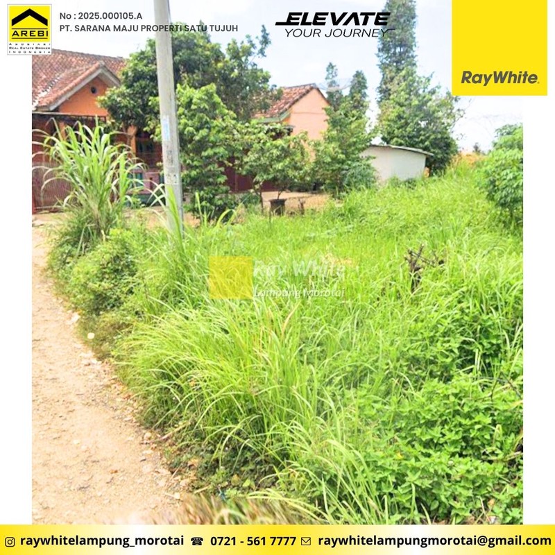 Dijual tanah dekat Unila