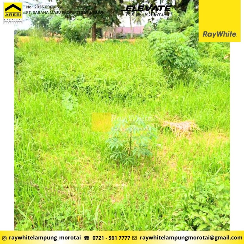 Dijual tanah dekat Unila