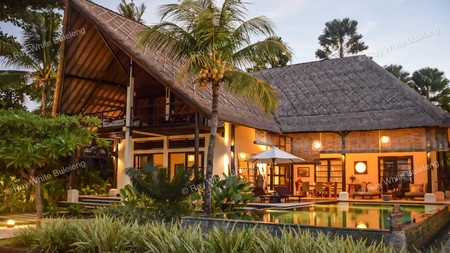 Lovina Beachfront Paradise - Spacious Villa with Pool & Tropical Garden