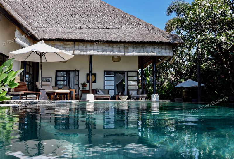 Lovina Beachfront Paradise - Spacious Villa with Pool & Tropical Garden