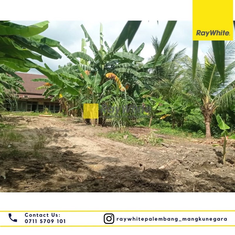 Dijual Tanah di Plaju 