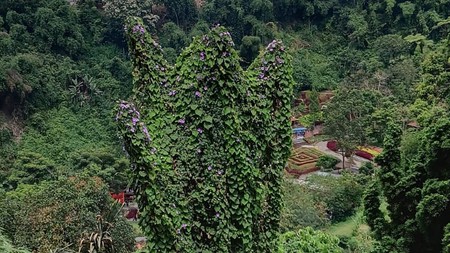 DISEWAKAN Lahan exclusive dikawasan komersial Lembang, dengan kemudahan akses dan daya tarik unik