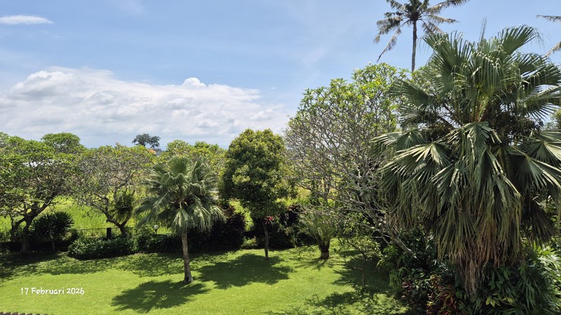 For Sale - 16.6 Are Land With House & Swimming Pool - Bona, Gianyar