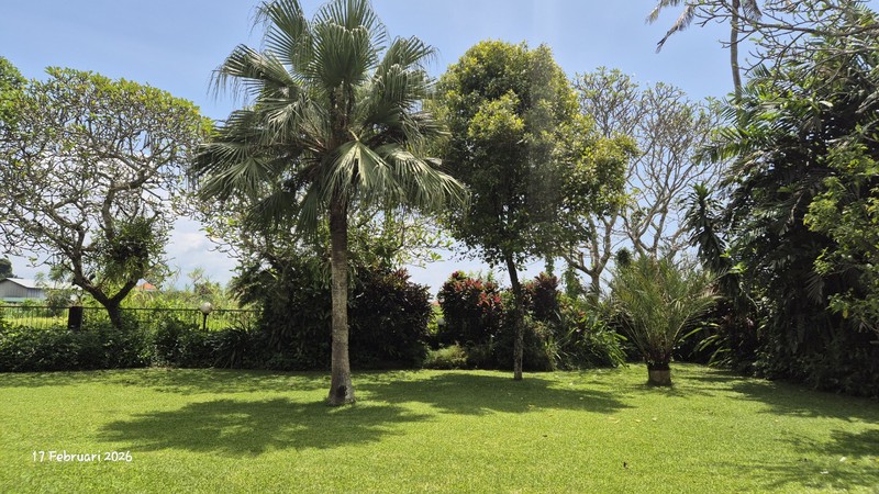 For Sale - 16.6 Are Land With House & Swimming Pool - Bona, Gianyar