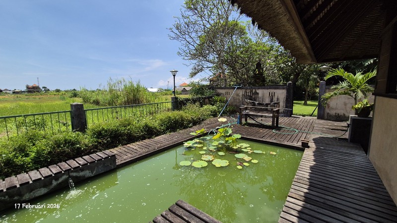 For Sale - 16.6 Are Land With House & Swimming Pool - Bona, Gianyar