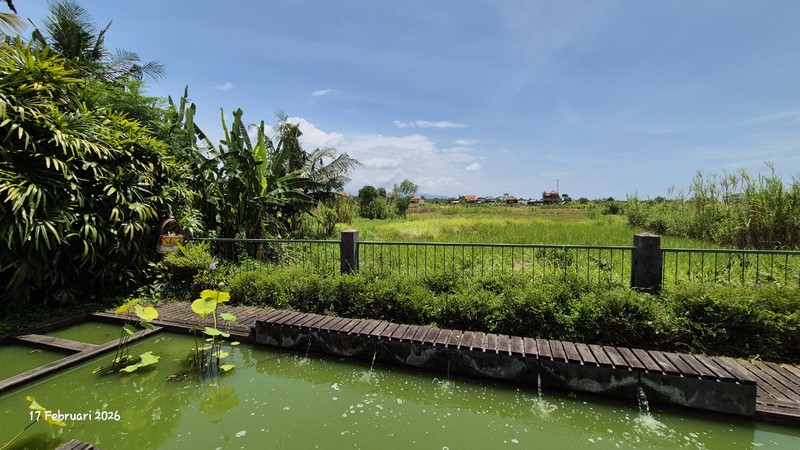 For Sale - 16.6 Are Land With House & Swimming Pool - Bona, Gianyar