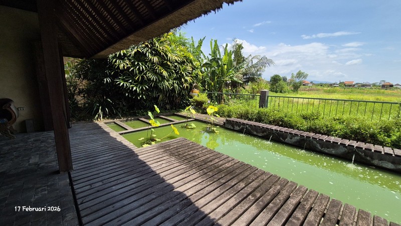 For Sale - 16.6 Are Land With House & Swimming Pool - Bona, Gianyar