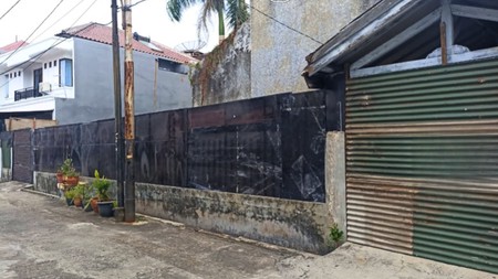 Kavling Kelapa Sawit, Kelapa gading