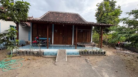 Rumah Luas 772 Meter Persegi di Tambahrejo Sariharjo Lokasi Super Strategis, Dekat Palagan & SCH.