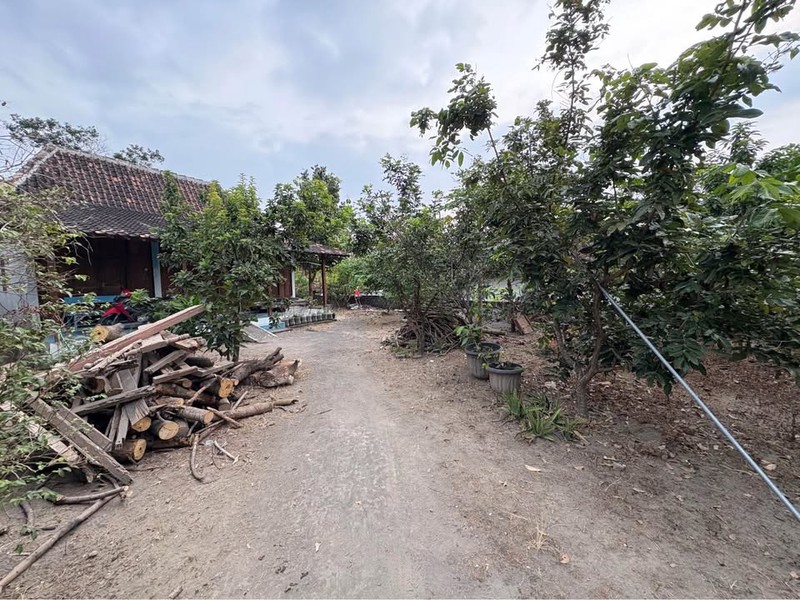 Rumah Luas 772 Meter Persegi di Tambahrejo Sariharjo Lokasi Super Strategis, Dekat Palagan & SCH.