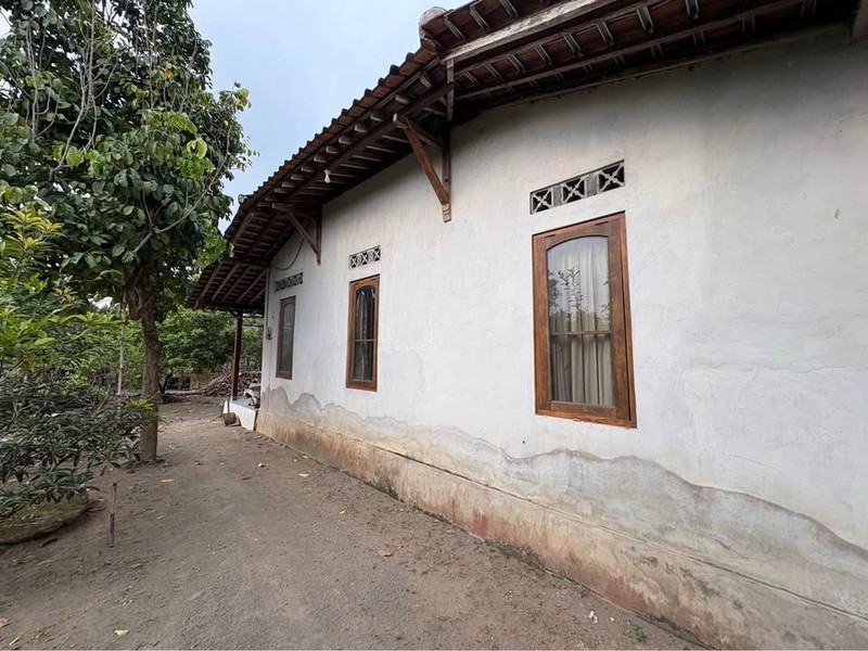 Rumah Luas 772 Meter Persegi di Tambahrejo Sariharjo Lokasi Super Strategis, Dekat Palagan & SCH.