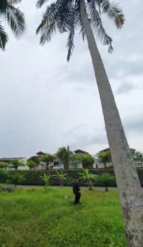 Freehold - Rare oppotunity exclusive land with rice field views and riverside in Green Lot, Cemagi, Bali