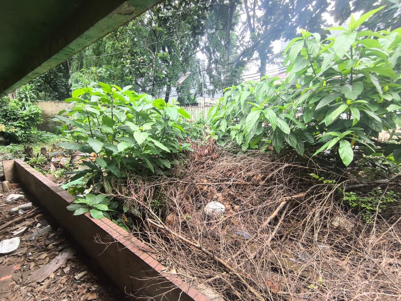 Rumah Dijual di Kemang