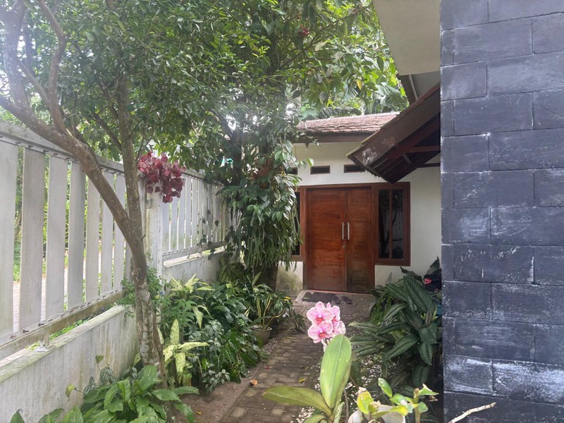 Rumah Hook Halaman Luas Lokasi Asri di Sidoarum, Godean, Sleman