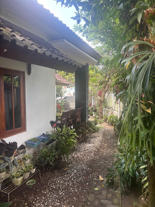 Rumah Hook Halaman Luas Lokasi Asri di Sidoarum, Godean, Sleman