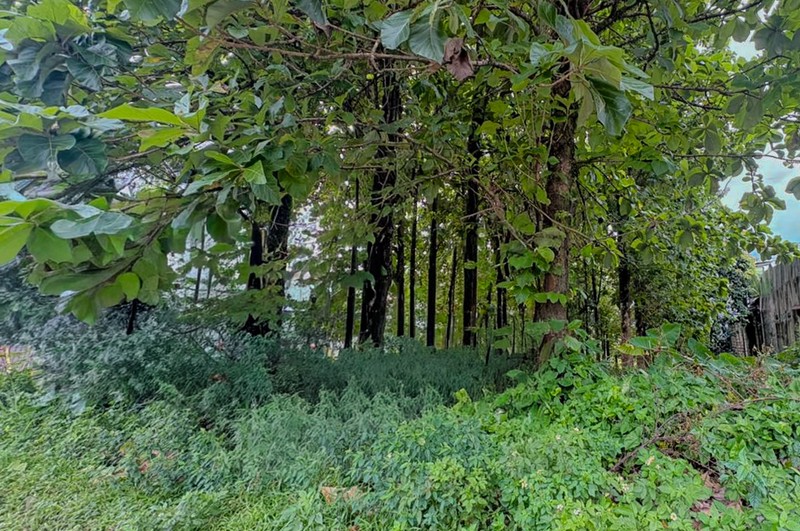 Tanah di Nanggewer Cibinong akses ke Mayor Oking Sentulcity Bogor