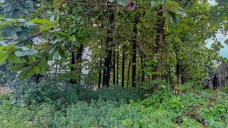 Tanah di Nanggewer Cibinong 