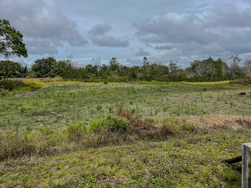 Kebun di Lintong Nihuta Sumatera 