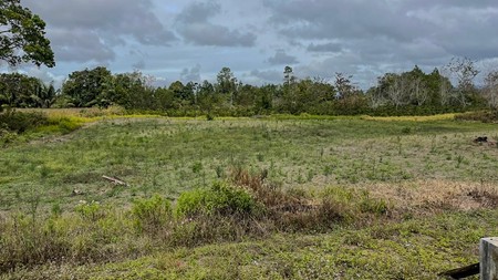 Kebun di Lintong Nihuta Sumatera dekat Dolok Sanggul Paranginan