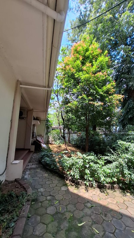 Rumah Bagus Mewah Di Jl Hang Lekir Kebayoran Baru Jakarta Selatan