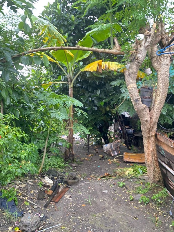 Rumah Strategis di Tirtonirmolo, Kasihan, Bantul Harga Terjangkau, Dekat Pusat Kota & Area Kampus